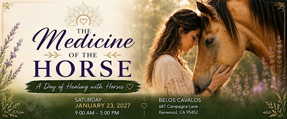 The Medicine of the Horse day-long retreat event artwork